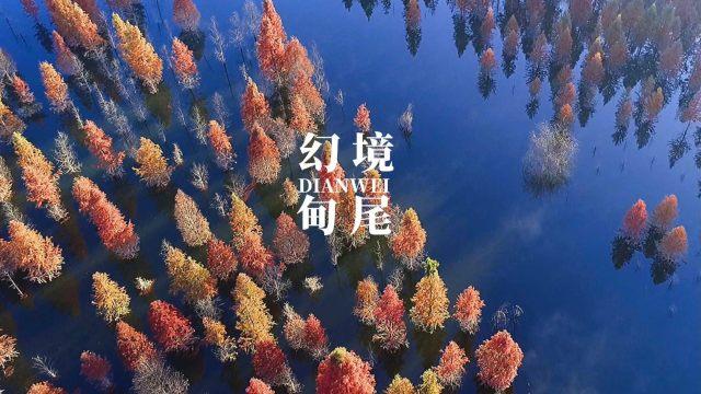 未知道路